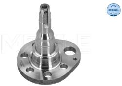 MEYLE Butuc roata, corp axa MEYLE 100 501 0037 (100 501 0037)