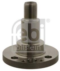 Febi Bilstein Butuc roata, corp axa FEBI BILSTEIN 30501 (30501)