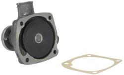 THERMOTEC Pompa apa, racire motor THERMOTEC WP-DZ113 (WP-DZ113)
