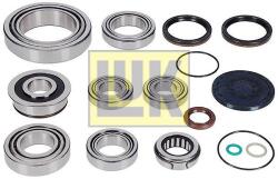LUK Set reparatie, transmisie manuala LUK 462 0206 10 (462 0206 10)