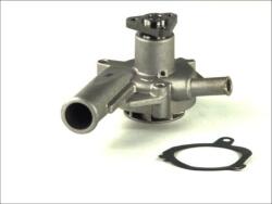 THERMOTEC Pompa apa, racire motor THERMOTEC D1G030TT (D1G030TT)