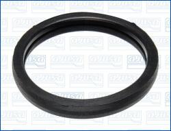 AJUSA Garnitura termostat AJUSA 00975700 (00975700)