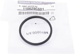 Original Nissan Garnitura termostat ORIGINAL NISSAN 11062-9C601 (11062-9C601)