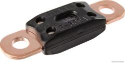 Herth+buss Elparts Siguranta fuzibila HERTH+BUSS ELPARTS 95980803003 (95980803003) - fixbox