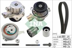 INA Set pompa apa + curea dintata INA 530 0699 31 (530 0699 31)