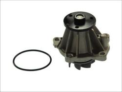 THERMOTEC Pompa apa, racire motor THERMOTEC D1G033TT (D1G033TT)