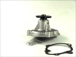 THERMOTEC Pompa apa, racire motor THERMOTEC D1X034TT (D1X034TT)