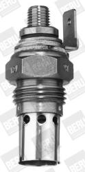 BorgWarner (BERU) Bujie incandescenta BorgWarner (BERU) GF154
