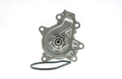 AISIN Pompa apa, racire motor AISIN WPT-195 (WPT-195)