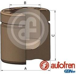 Autofren Seinsa Piston, etrier frana AUTOFREN SEINSA D025242 (D025242)