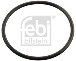 Febi Bilstein Garnitura termostat FEBI BILSTEIN 11443 (11443)