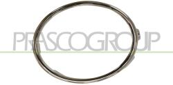 PRASCO Rama, proiector ceata PRASCO VG0381241 (VG0381241)