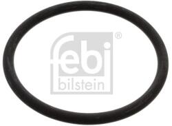 Febi Bilstein Garnitura termostat FEBI BILSTEIN 17966 (17966)