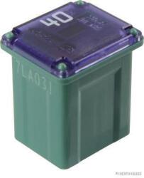 Herth+buss Elparts Siguranta fuzibila HERTH+BUSS ELPARTS 50295333 (50295333) - fixbox