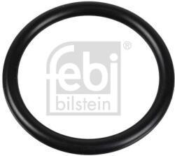 Febi Bilstein Garnitura termostat FEBI BILSTEIN 174322 (174322)