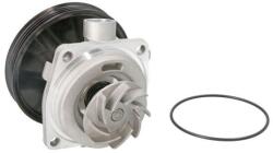 THERMOTEC Pompa apa, racire motor THERMOTEC D1F065TT (D1F065TT)