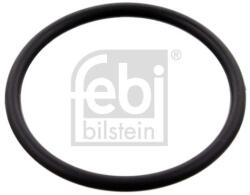 Febi Bilstein Garnitura, carcasa termostat FEBI BILSTEIN 100077 (100077)