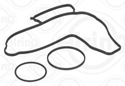 ELRING Set garnituri, pompa apa ELRING B42.770 (B42.770)
