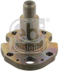Febi Bilstein Butuc roata, corp axa FEBI BILSTEIN 30276 (30276)