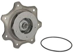 THERMOTEC Pompa apa, racire motor THERMOTEC WP-PK128 (WP-PK128)