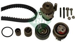 INA Set pompa apa + curea dintata INA 530 0503 30 (530 0503 30)
