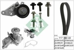 INA Set pompa apa + curea dintata INA 530 0140 30 (530 0140 30)