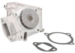 THERMOTEC Pompa apa, racire motor THERMOTEC D13010TT (D13010TT)