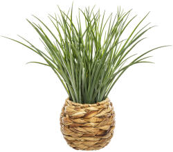 Brius Planta decorativa atmosphera iarba in ghiveci impletit, 50x49 cm, aspect realist, maro natur (JJ-168588)
