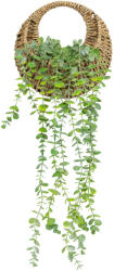 Brius Planta suspendata artificiala atmosphera eucalipt in cos, 26x70 cm, design natural, verde (JJ-204255)