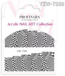 Profinails Acrylic Nail Art matrica