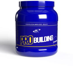 Pro Nutrition Amino acizi Aminoacizi pudra Pro Building Natur 500g - vexio