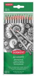 Derwent Creioane grafice, set, hexagonale, DERWENT "Academy", 12 durități diferite, 12 buc