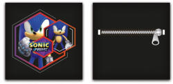 Sonic a sündisznó Prime párna, díszpárna levehető huzattal 35x35 cm Velúr (AYM072754) - ostore