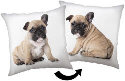 Kutyás Bulldog párna, díszpárna 40x40 cm (JFK039182) - ostore
