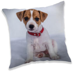 Kutyás Jack Russell párna, díszpárna 40x40 cm (JFK025499) - ostore