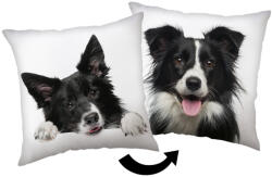 Kutyás Border Collie párna, díszpárna 40x40 cm (JFK039199) - ostore