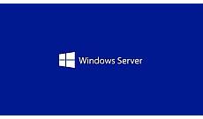 Microsoft Windows Svr Std 2025 64Bit English 1pk DSP OEI DVD 16 Core (EP2-25187) - dig