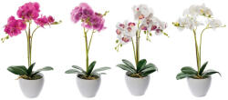 AdTrend Set 4 Orhidee in ghiveci 14 x 50 cm (71148)
