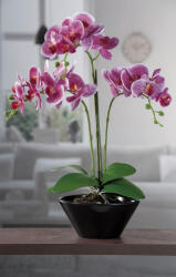 AdTrend Orhidee roz artificiala in ghiveci 20 x 53 cm (55481)