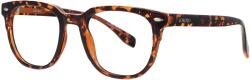 Loretto HS34201 C3 50 CLIP ON Ochelari de citit