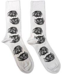Motörhead Warpig Repeat White 40-45 Zokni (MHEADSCK01MW)