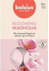 Bolsius Teamécses 6Db True Scents Magnolia