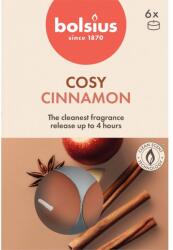 Bolsius Teamécses 6Db True Scents Apple Cinnamon