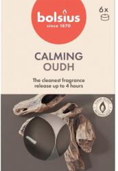Bolsius Teamécses 6Db True Scents Oud Wood