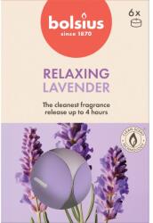 Bolsius Teamécses 6Db True Scents Lavender