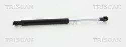 TRISCAN Amortizor capota TRISCAN 8710 17103 (8710 17103) - fixbox
