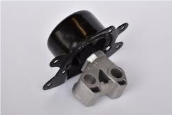 ASAM 76630 Suport motor