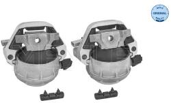 MEYLE 100 199 3103/S MEYLE-ORIGINAL-KIT: Better solution for you! Suport motor