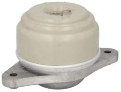 REINHOCH Suport Motor Dreapta Rh11-3098 Mercedes-Benz C-Class/S-Class