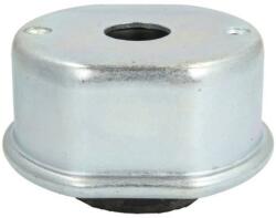 REINHOCH Suport motor REINHOCH RH11-0132 (RH11-0132)